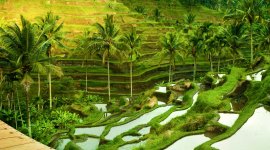 ILO Academy on Rural Development